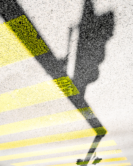 Zebra Crossing - ID 012493