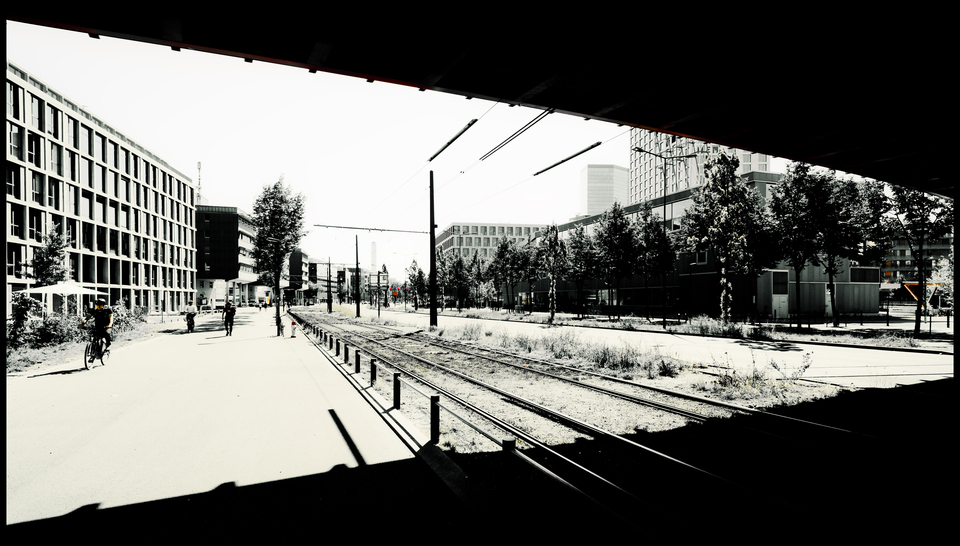 Under the Bridge in the West - ID 012494