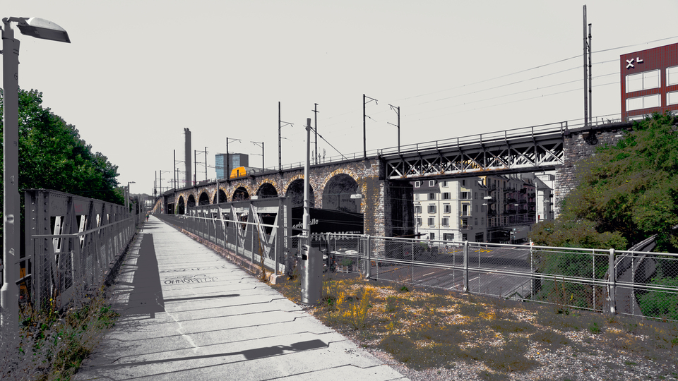 Abandoned Track Bed II - ID 012515