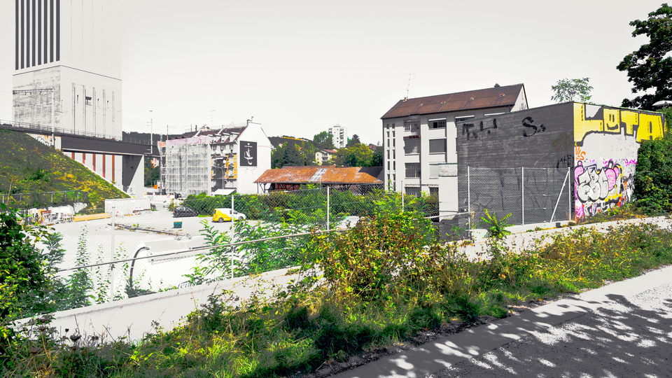 From Abandoned Track Bed I - ID 012517