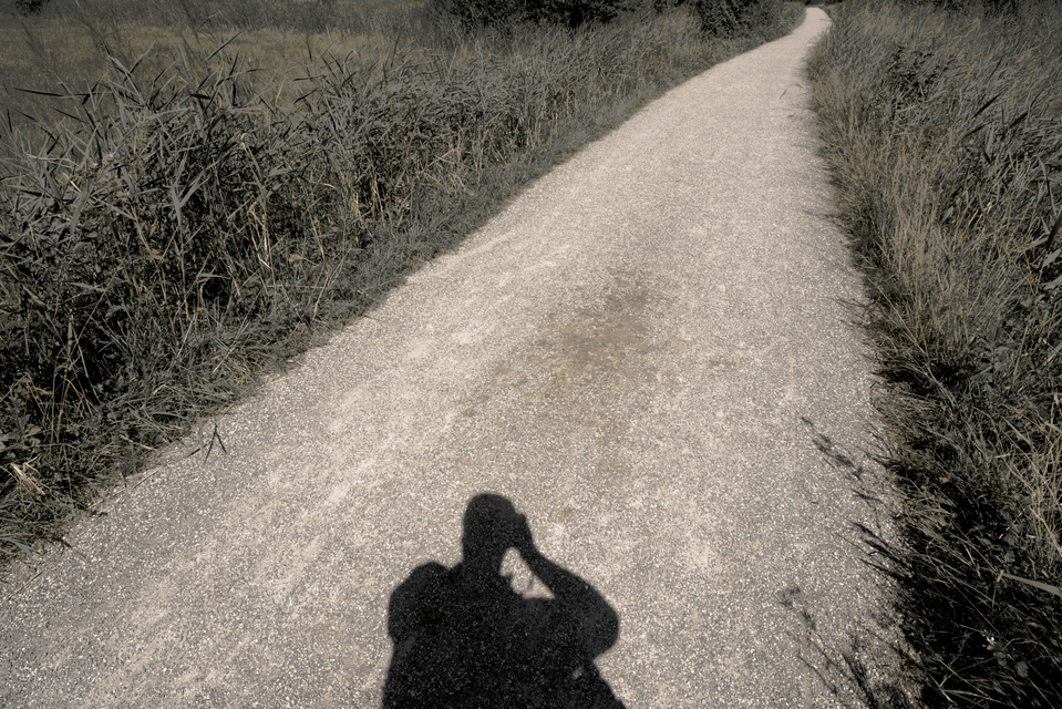 On Reed Path - ID 012523