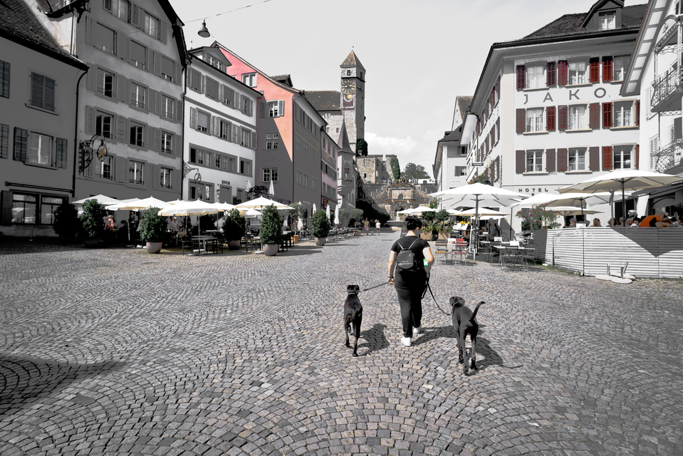 Rapperswil Old Town III - ID 012579