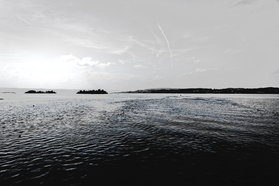 Rapperswil Lake Zurich III - ID 012596