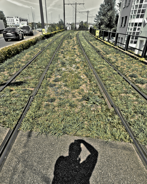 Tram Rails III - ID 012599