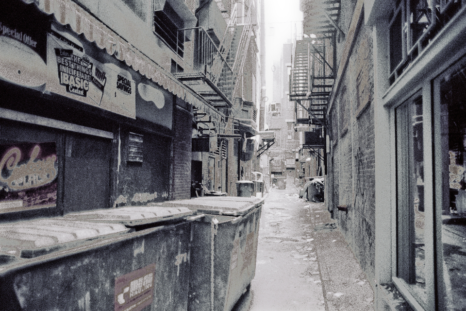 Boston Walk VIII - ID 012645