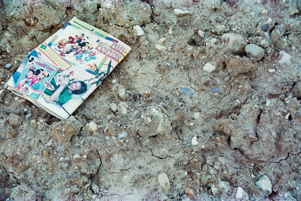 FAN-POSTER - ID 012648