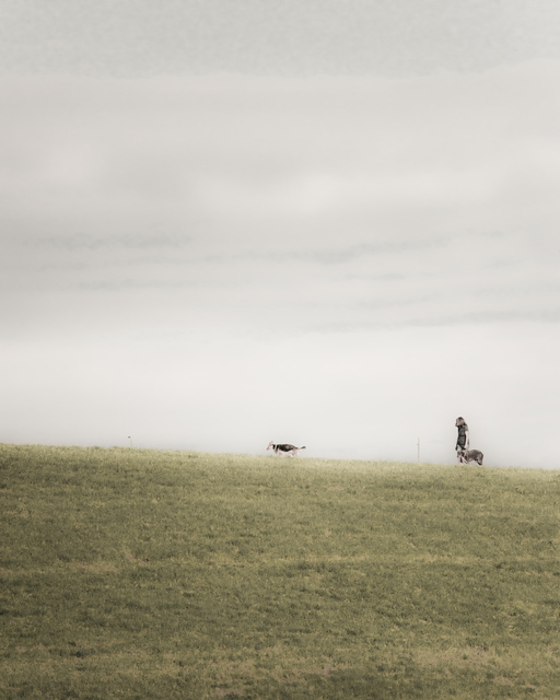 Two Dogs and One Woman - ID 012668