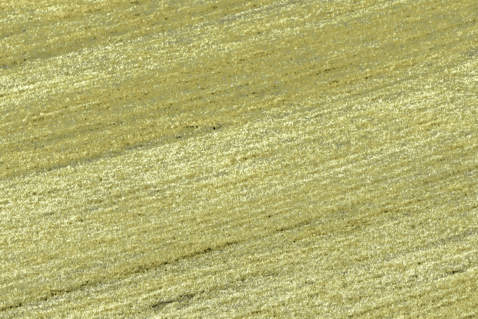 Field from Distance II - ID 012672