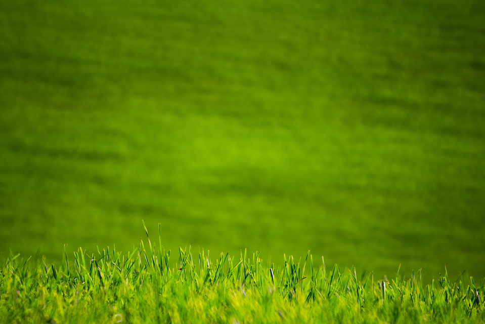 Behind the Hill - ID 012674