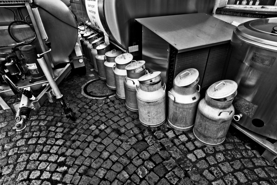 Swiss Milk II - ID 012697