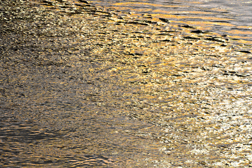 Golden Danube II - ID 012701