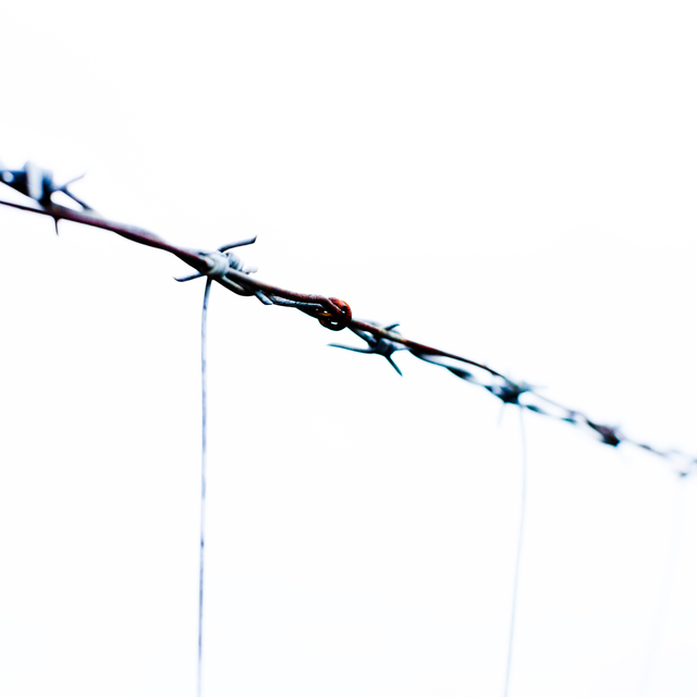 Barbwire - ID 012720
