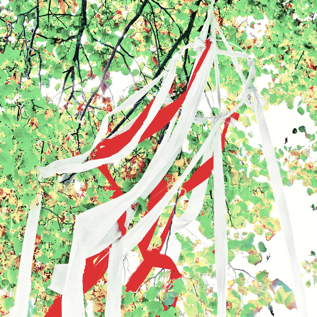 Lime with Ribbons - ID 012721