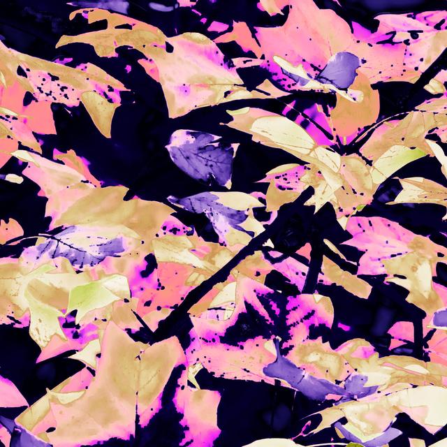 Colorful Tree VI - ID 012730