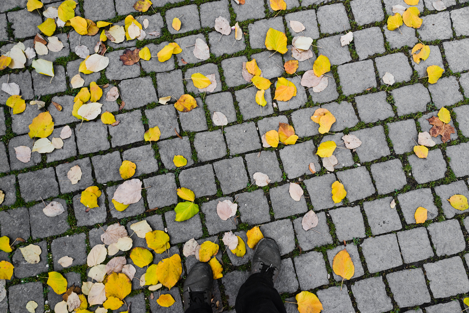 Autumn in the City - ID 012741