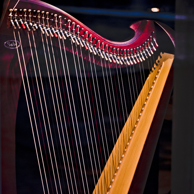 Music Shop VI - ID 012796