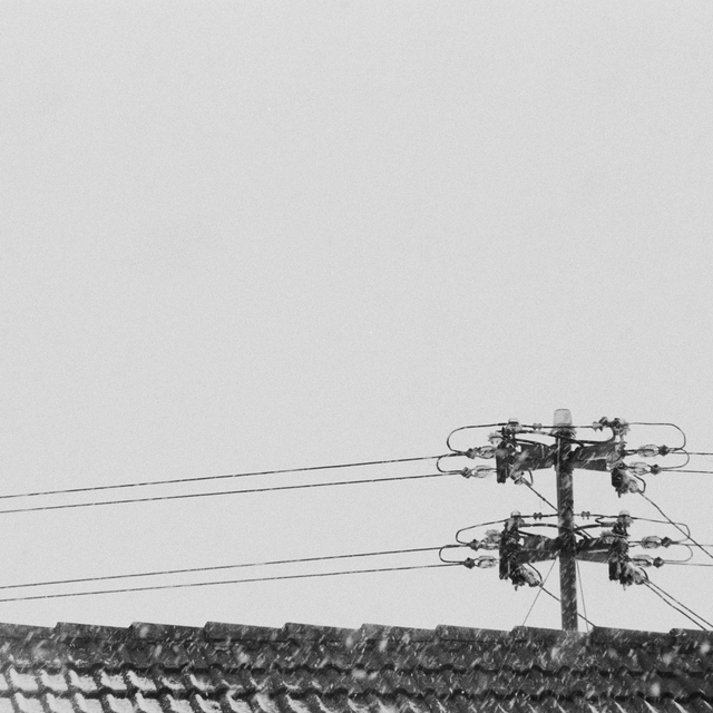 House Power Line in Showfall - ID 012804