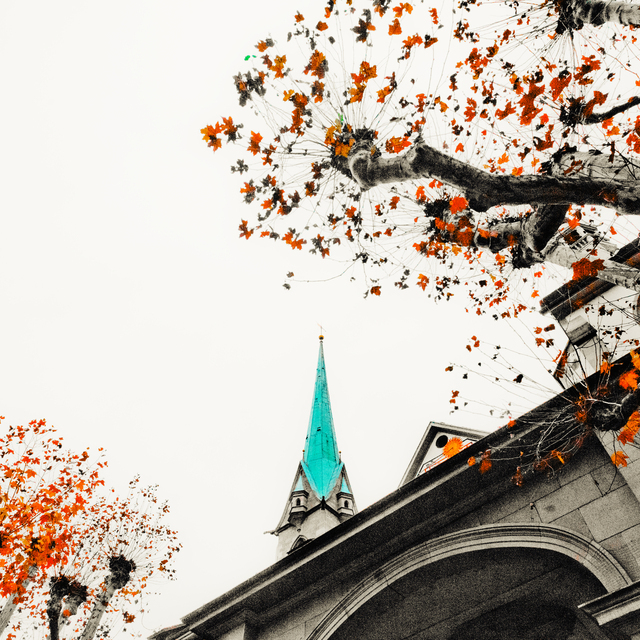 Orange Leaves in Zurich I - ID 012841