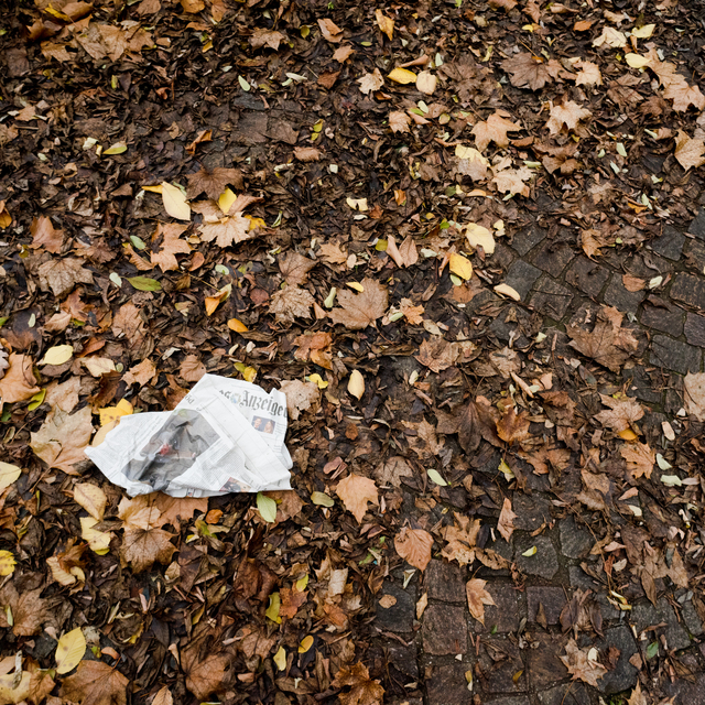 Anzeiger - ID 012866