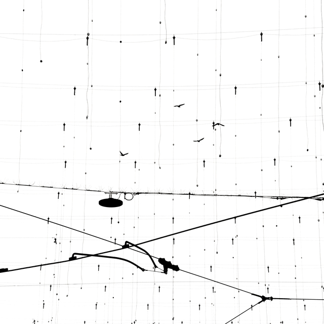 Zurich No Light Birds and Power - ID 012878