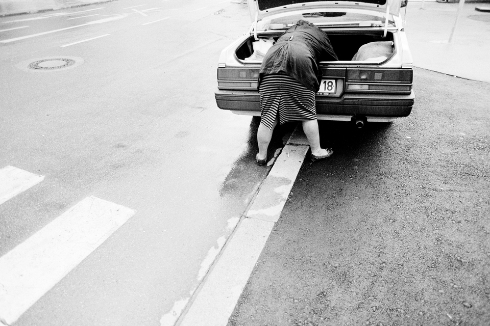 In the Lion's Mouth - ID 012917