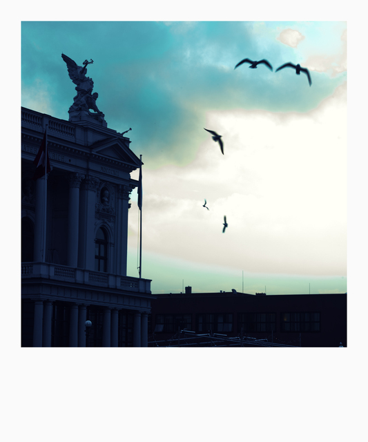 Wings above the Opera - ID 012950