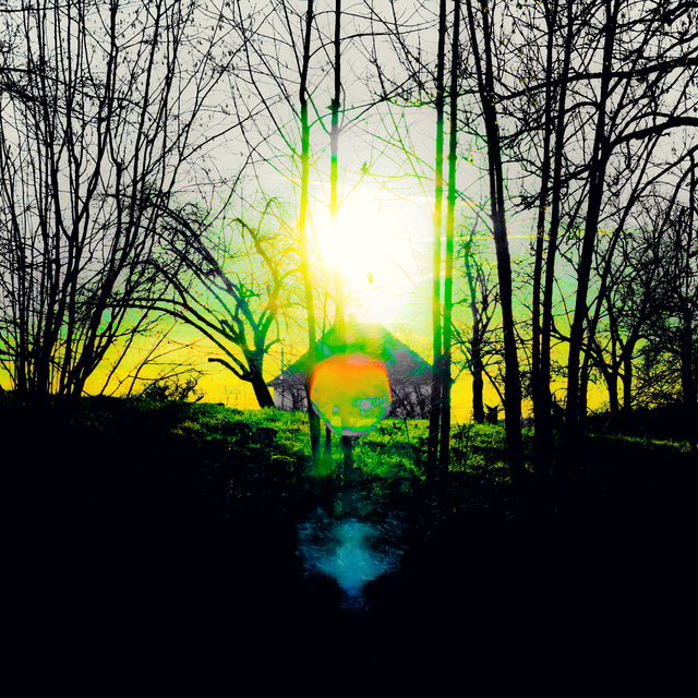 Sun House Trees I - ID 013010