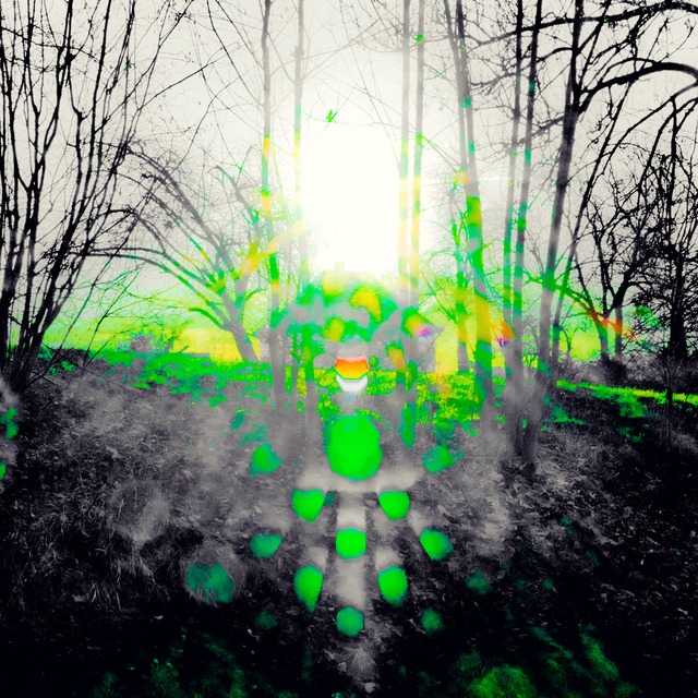 Sun House Trees IV - ID 013013