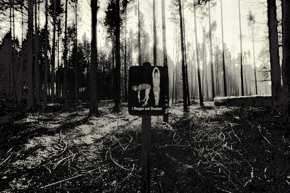 1. Beugen und Strecken - ID 013028