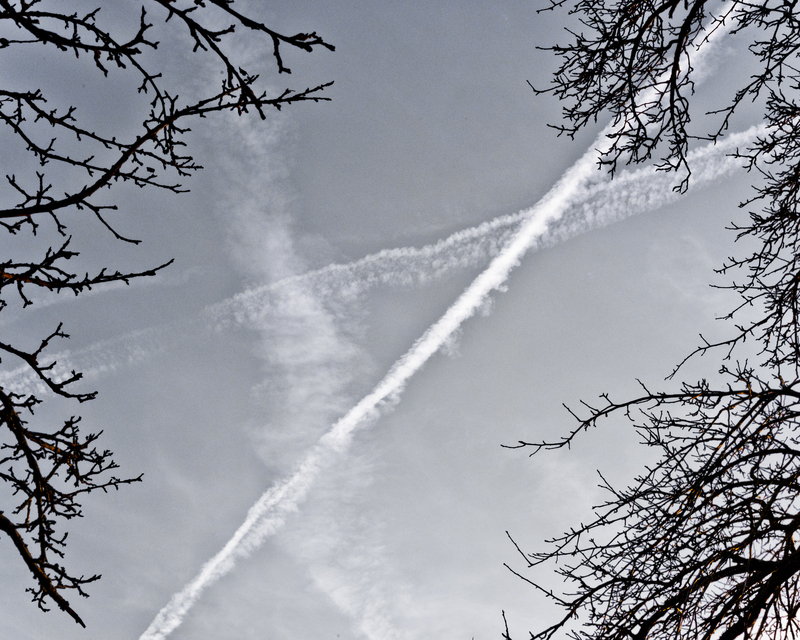 Contrails between Trees II - ID 013047
