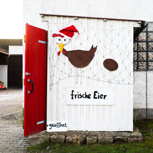 Fresh Eggs - ID 013051