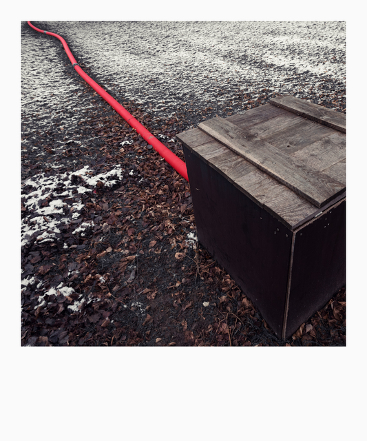 Winter Red - ID 013055