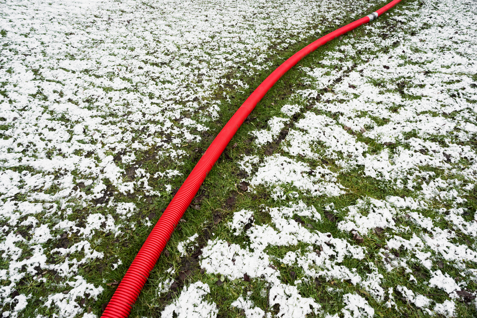 Red on Green White I - ID 013056