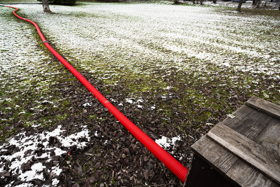 Red on Green White II - ID 013057