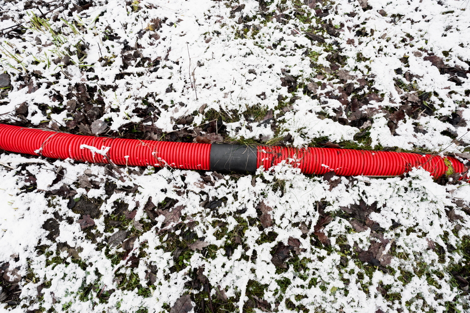 Red on Green White III - ID 013063