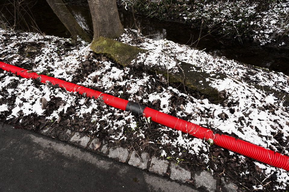 Red on Green White IV - ID 013064