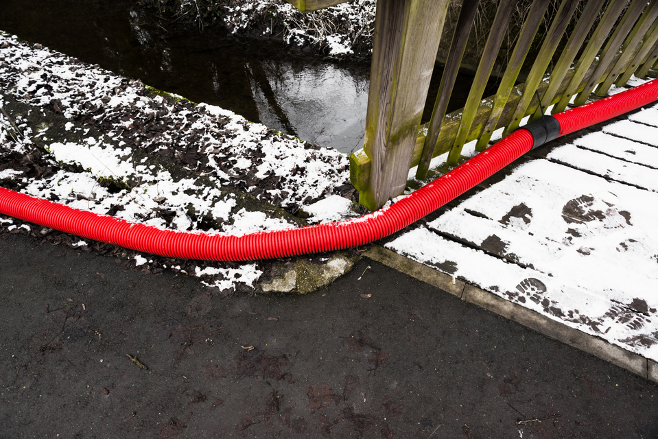 Red on Green White V - ID 013065