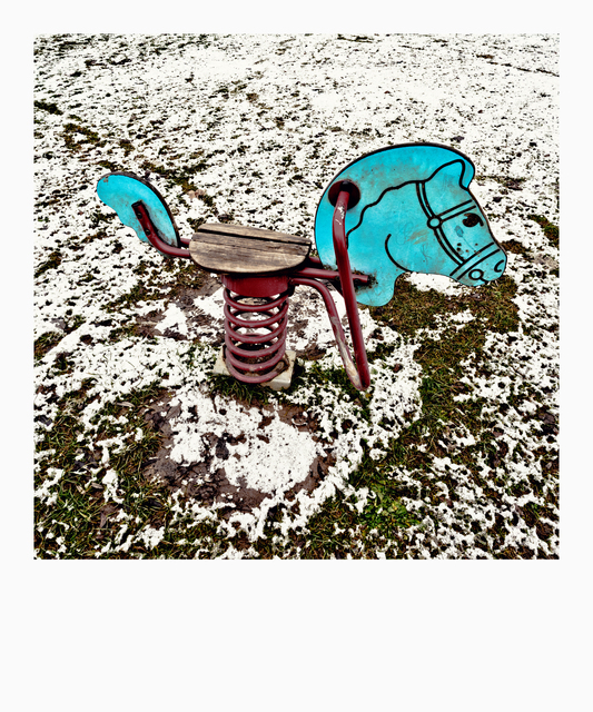 Steel Horse - ID 013075