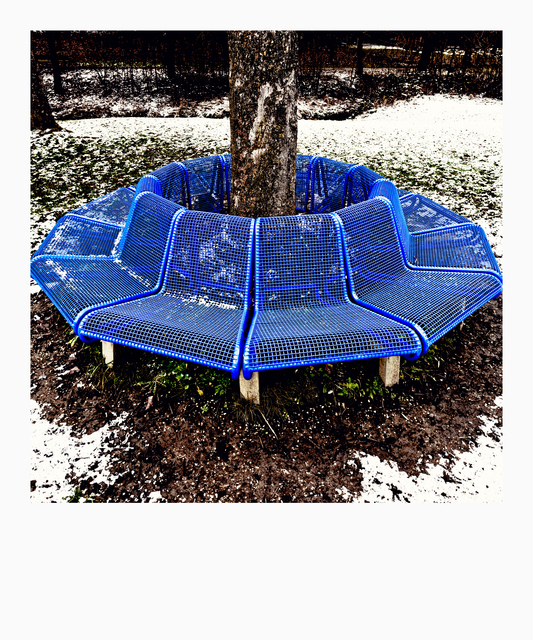 Sit Option ic Circle - ID 013077