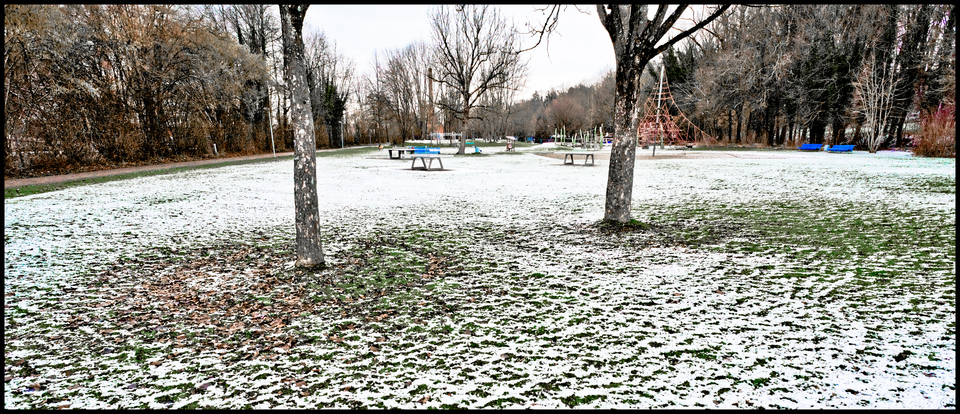 Playground behind two Trees - ID 013081