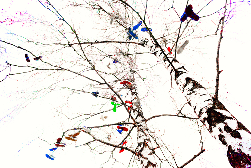 Shoe Tree I - ID 013088