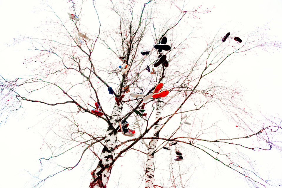 Shoe Tree V - ID 013094