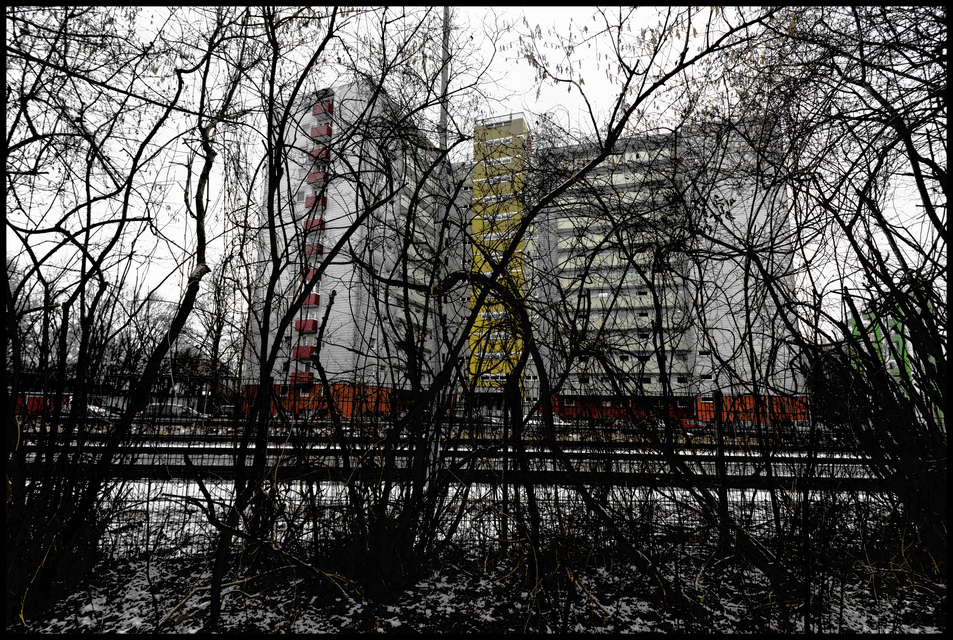 Behind the Branches and Tracks I - ID 013096