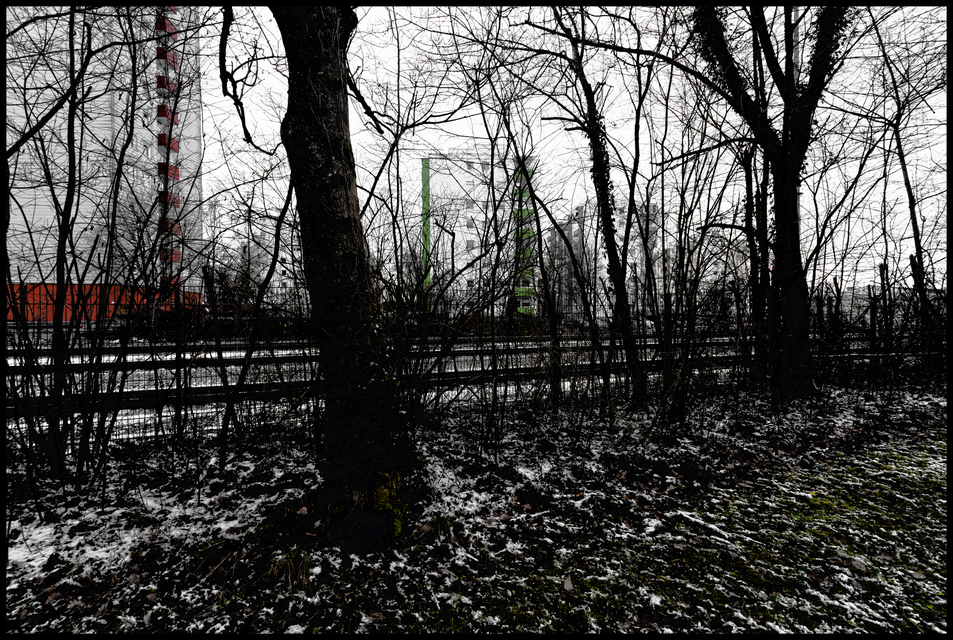 Behind the Branches and Tracks II - ID 013097