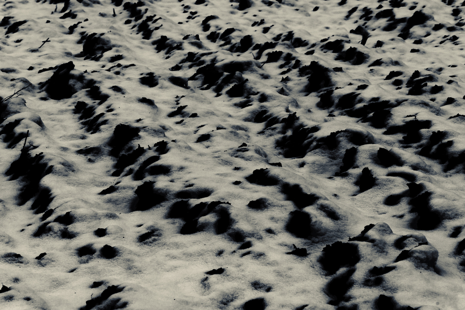 Dirt Snow II - ID 013127