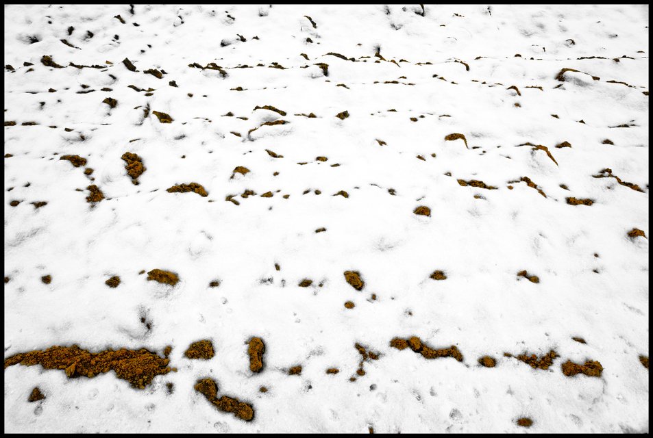 Snow on Empty Field I - ID 013130