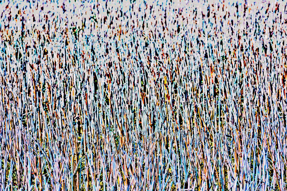 Stubble Field II - ID 013139