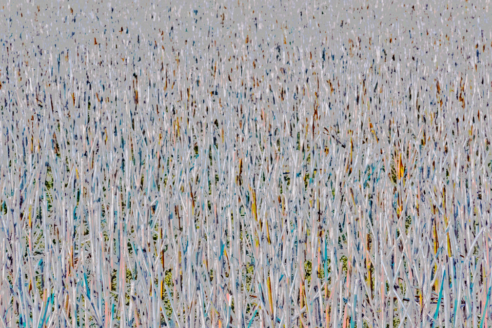 Stubble Field VIII - ID 013145