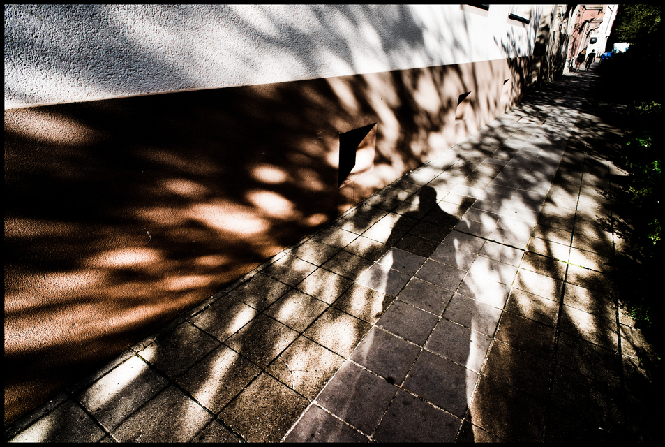 Expressive Shadowplay - ID 013178