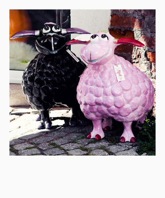 Black and Pink Sheep - ID 013181
